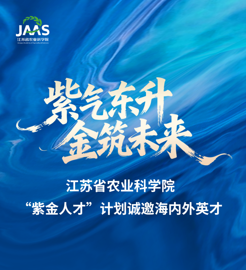 封面.png